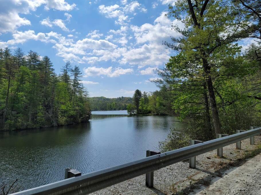 Cozy Swamp Rabbit - Sans Souci Greenville Furman Esterno foto